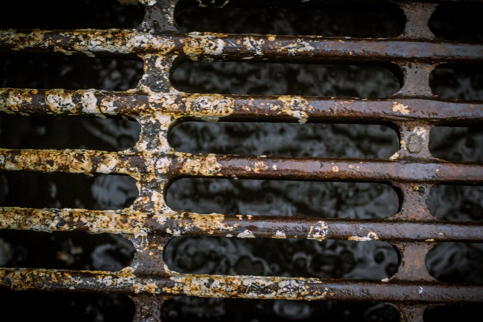 art-of-sandy-mo-sandy art-27.jpg